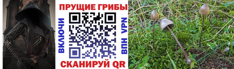 Псилоцибиновые грибы Magic Shrooms  Староминская 